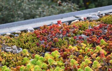 the cost of Dallington green roof installation