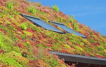 Dallington living roof systems