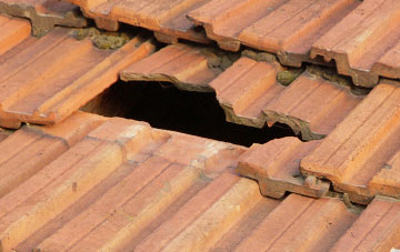 roof repair Dallington